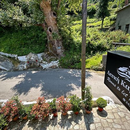 Hotel Λευκή Καμέλια Anilio Pelion Exteriér fotografie