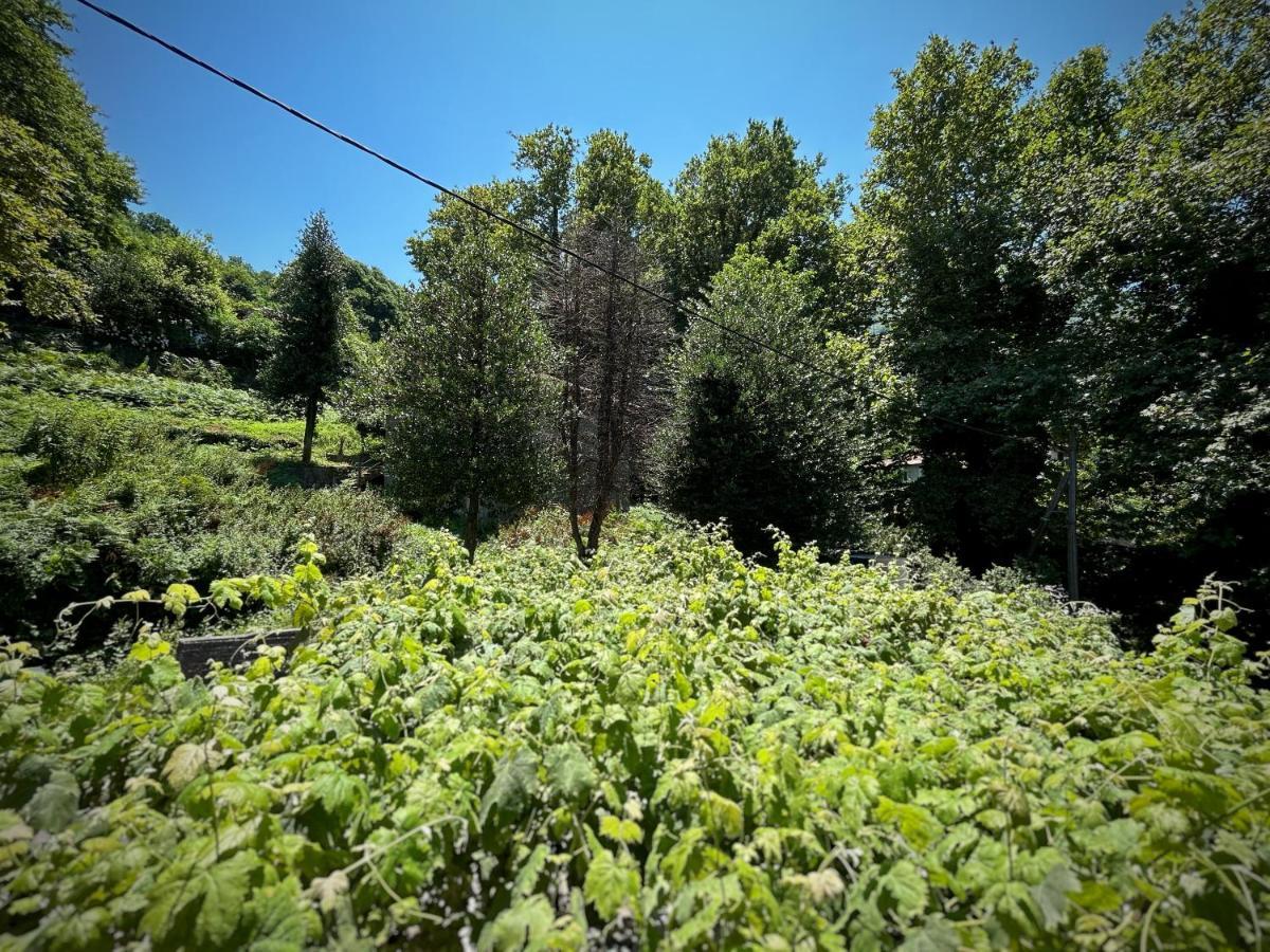 Hotel Λευκή Καμέλια Anilio Pelion Exteriér fotografie