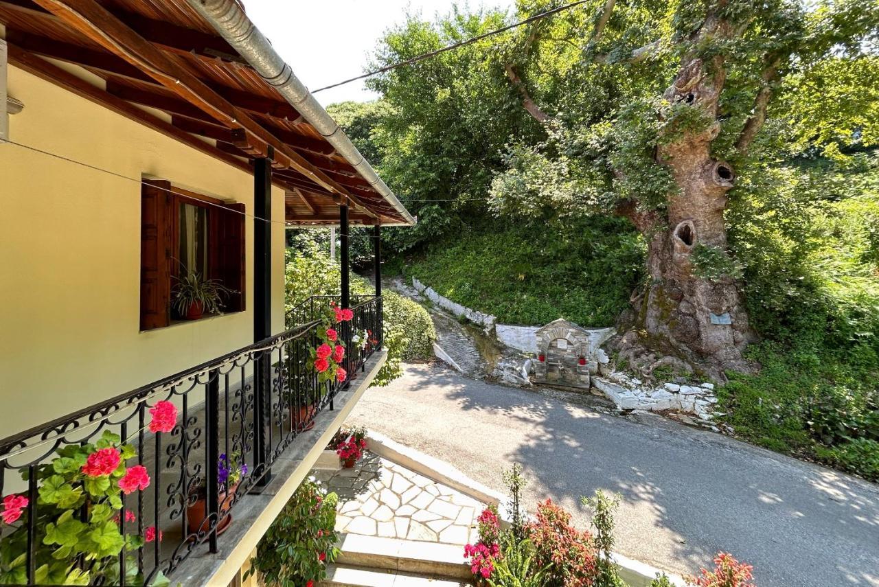 Hotel Λευκή Καμέλια Anilio Pelion Exteriér fotografie