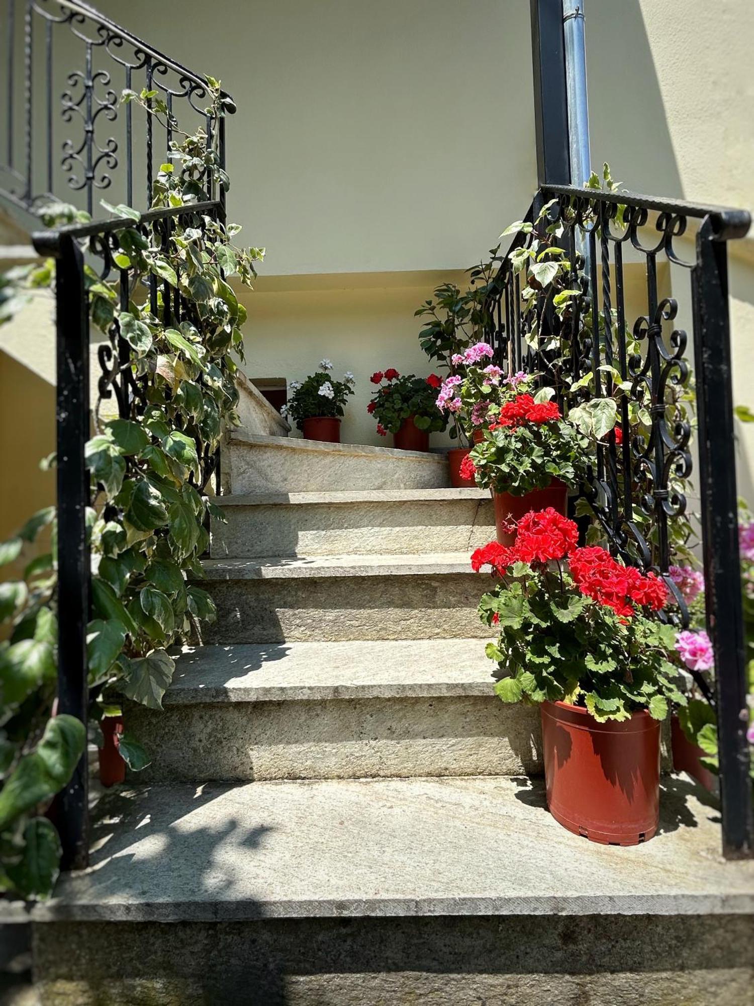Hotel Λευκή Καμέλια Anilio Pelion Exteriér fotografie