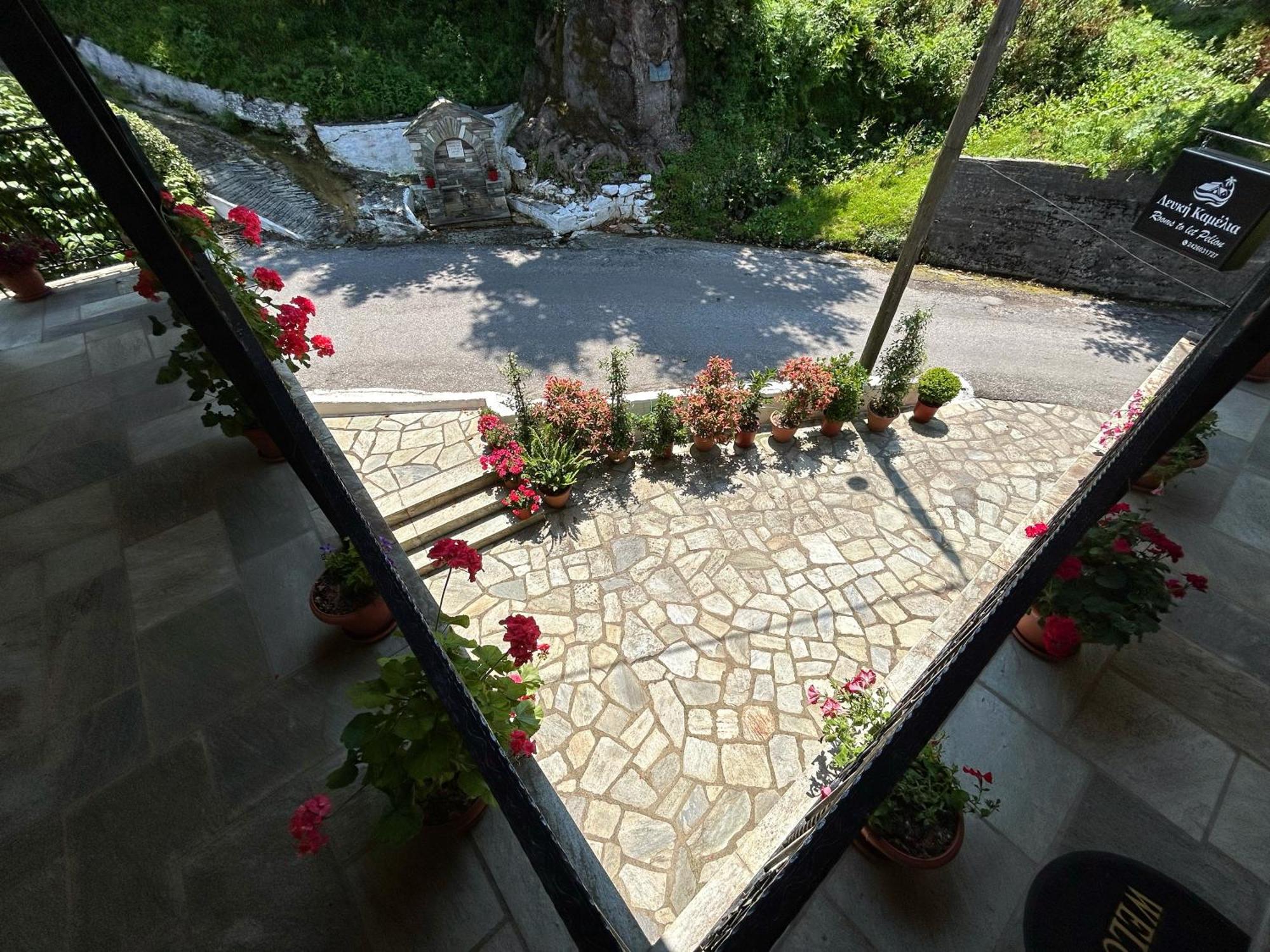 Hotel Λευκή Καμέλια Anilio Pelion Exteriér fotografie