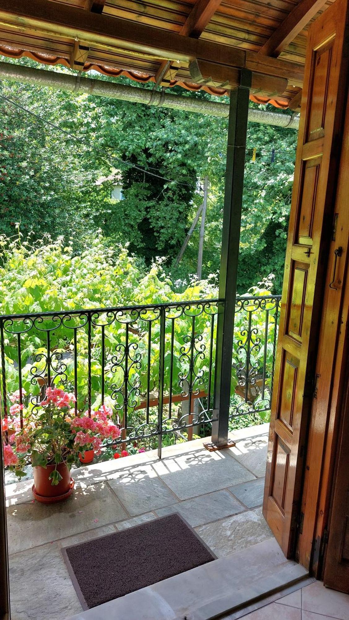 Hotel Λευκή Καμέλια Anilio Pelion Exteriér fotografie