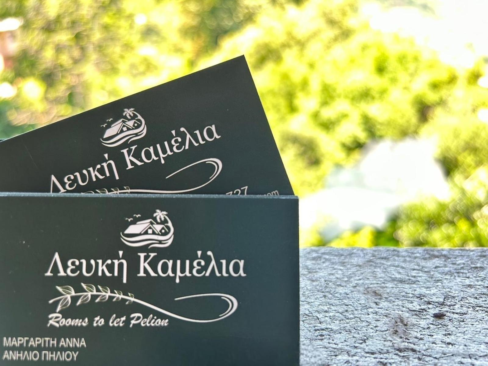 Hotel Λευκή Καμέλια Anilio Pelion Exteriér fotografie
